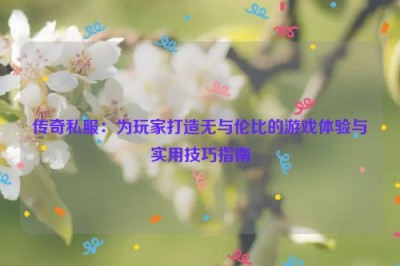 传奇私服：为玩家打造无与伦比的游戏体验与实用技巧指南