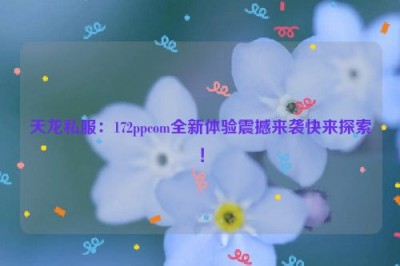 天龙私服：172ppcom全新体验震撼来袭快来探索！