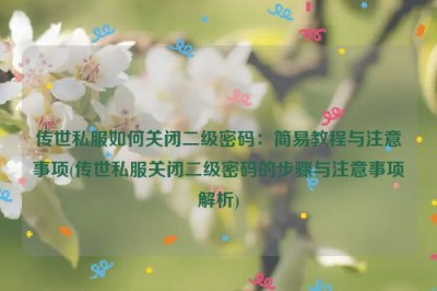 传世私服如何关闭二级密码：简易教程与注意事项(传世私服关闭二级密码的步骤与注意事项解析)