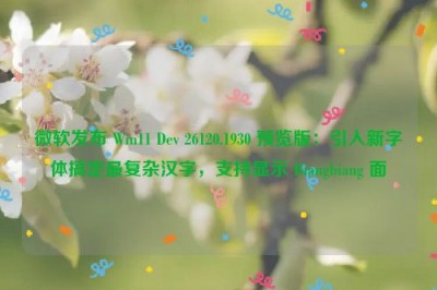 微软发布 Win11 Dev 26120.1930 预览版：引入新字体搞定最复杂汉字，支持显示 Biangbiang 面