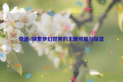 奇迹sf探索梦幻世界的无限可能与惊喜