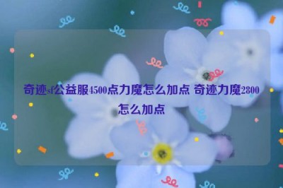 奇迹sf公益服4500点力魔怎么加点 奇迹力魔2800怎么加点