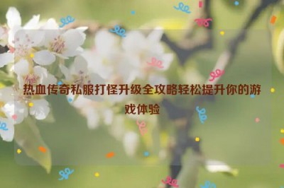 热血传奇私服打怪升级全攻略轻松提升你的游戏体验