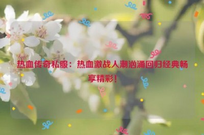 热血传奇私服：热血激战人潮汹涌回归经典畅享精彩！