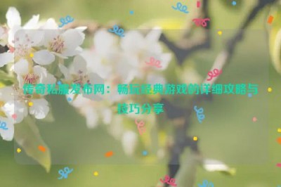 传奇私服发布网：畅玩经典游戏的详细攻略与技巧分享