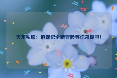 天龙私服：逍遥纪全新冒险等你来探寻！