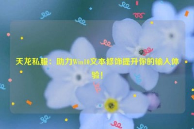 天龙私服：助力Win10文本修饰提升你的输入体验！