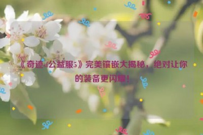 《奇迹sf公益服5》完美镶嵌大揭秘，绝对让你的装备更闪耀！