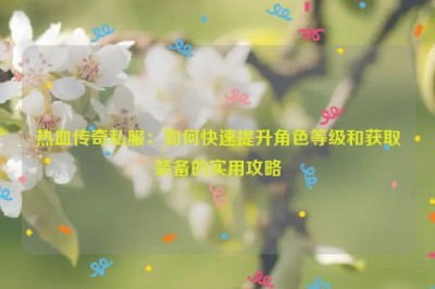 热血传奇私服：如何快速提升角色等级和获取装备的实用攻略