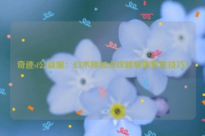 奇迹sf公益服：幻术师加点攻略掌握致胜技巧！