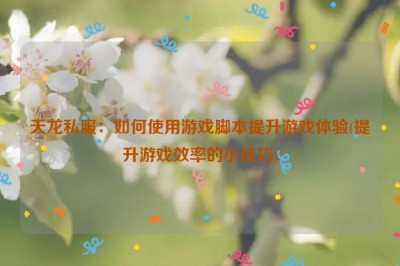 天龙私服：如何使用游戏脚本提升游戏体验(提升游戏效率的小技巧)