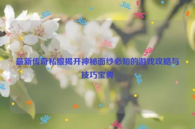 最新传奇私服揭开神秘面纱必知的游戏攻略与技巧宝典