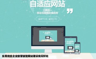 东莞传统企业做营销型网站建设有何好处