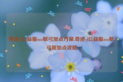 奇迹sf公益服mu敏弓加点方案,奇迹sf公益服mu敏弓新加点攻略