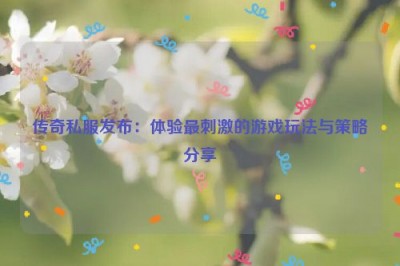 传奇私服发布：体验最刺激的游戏玩法与策略分享