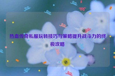 热血传奇私服玩转技巧与策略提升战斗力的终极攻略