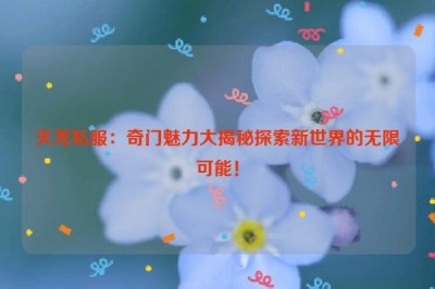 天龙私服：奇门魅力大揭秘探索新世界的无限可能！