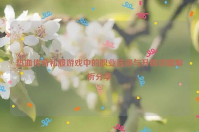 热血传奇私服游戏中的职业选择与升级攻略解析分享