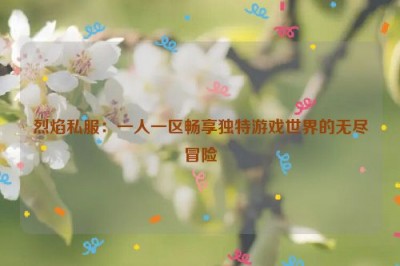 烈焰私服：一人一区畅享独特游戏世界的无尽冒险