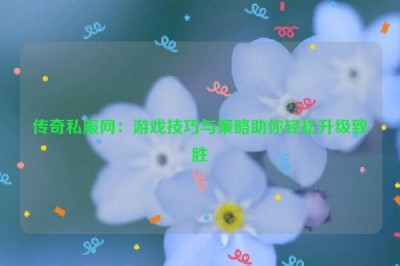 传奇私服网：游戏技巧与策略助你轻松升级致胜