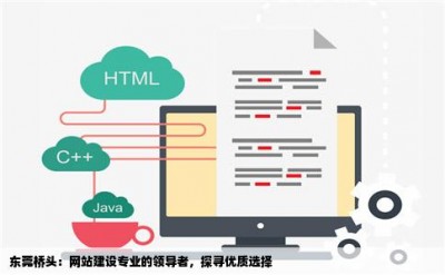 东莞桥头：网站建设专业的领导者，探寻优质选择