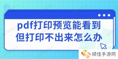 pdf打印预览能看到但打印不出来怎么办 打印PDF的方法