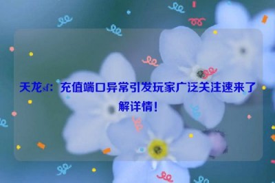 天龙sf：充值端口异常引发玩家广泛关注速来了解详情！