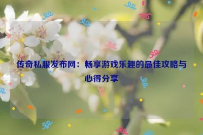 传奇私服发布网：畅享游戏乐趣的最佳攻略与心得分享