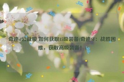 奇迹sf公益服 如何获取15级装备(奇迹SF：战胜困难，获取高级装备！)