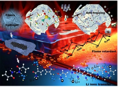 灵感来自树叶！新型准固态凝胶电解质阻燃又抗冻