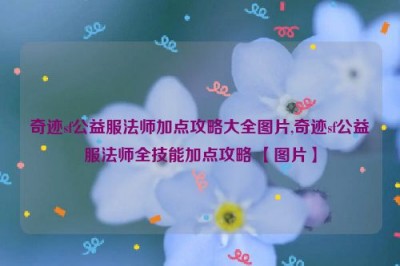 奇迹sf公益服法师加点攻略大全图片,奇迹sf公益服法师全技能加点攻略 【图片】