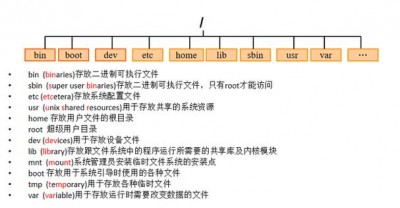 linux中怎么进入share目录