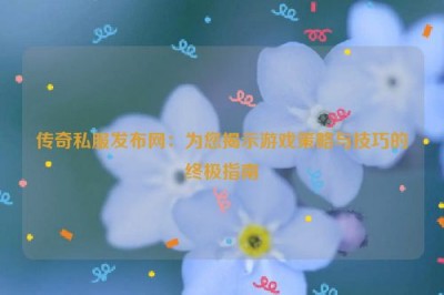 传奇私服发布网：为您揭示游戏策略与技巧的终极指南