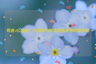 奇迹sf公益服：全新群攻职业震撼登场激情无限！