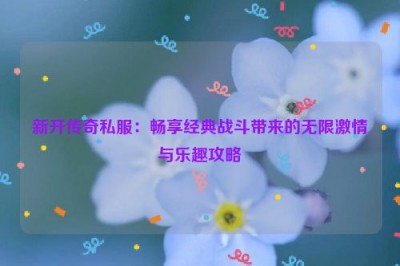 新开传奇私服：畅享经典战斗带来的无限激情与乐趣攻略