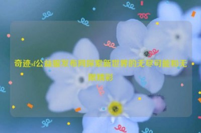 奇迹sf公益服发布网探索新世界的无尽可能和无限精彩