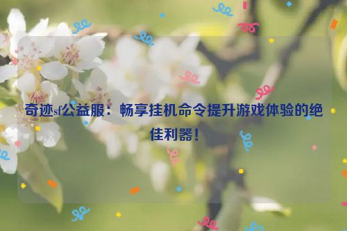 奇迹sf公益服：畅享挂机命令提升游戏体验的绝佳利器！