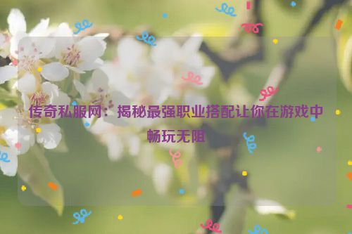 传奇私服网：揭秘最强职业搭配让你在游戏中畅玩无阻