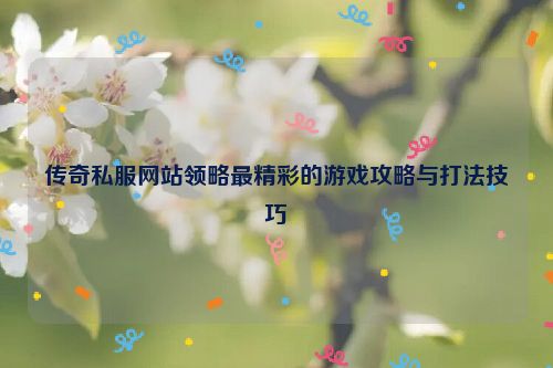 传奇私服网站领略最精彩的游戏攻略与打法技巧