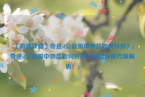 【游戏攻略】奇迹sf公益服中物品如何分拆？(奇迹sf公益服中物品如何分拆？最佳分拆方案解析！)