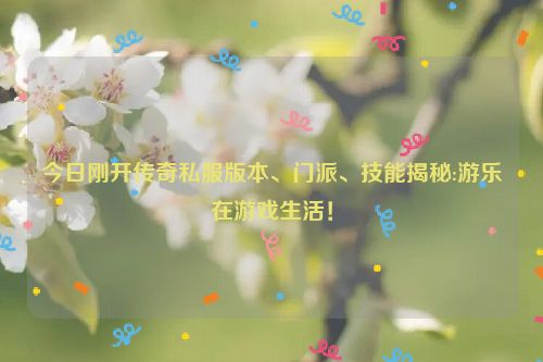 今日刚开传奇私服版本、门派、技能揭秘:游乐在游戏生活！