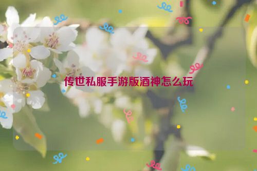 传世私服手游版酒神怎么玩