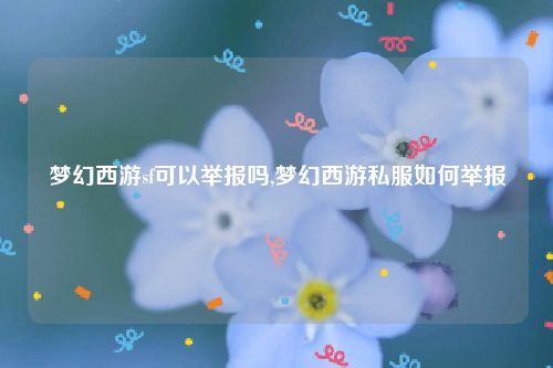 梦幻西游sf可以举报吗,梦幻西游私服如何举报