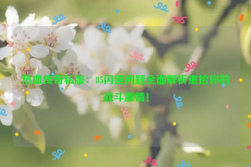 热血传奇私服：85闪退问题全面解析重拾你的战斗激情！