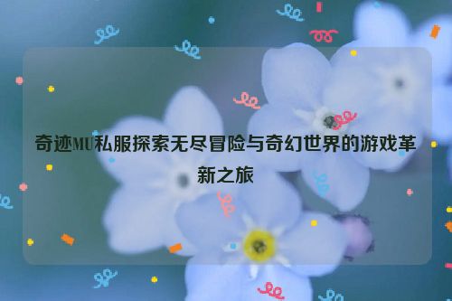 奇迹MU私服探索无尽冒险与奇幻世界的游戏革新之旅