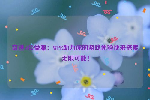 奇迹sf公益服：WPE助力你的游戏体验快来探索无限可能！