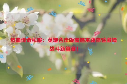 热血传奇私服：英雄合击版震撼来袭体验激情战斗新篇章！