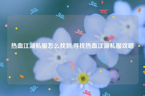 热血江湖私服怎么找到,寻找热血江湖私服攻略