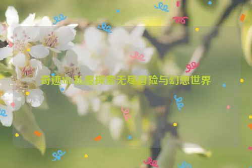 奇迹MU私服探索无尽冒险与幻想世界