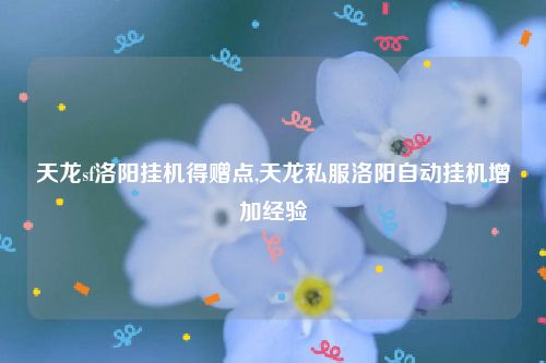 天龙sf洛阳挂机得赠点,天龙私服洛阳自动挂机增加经验